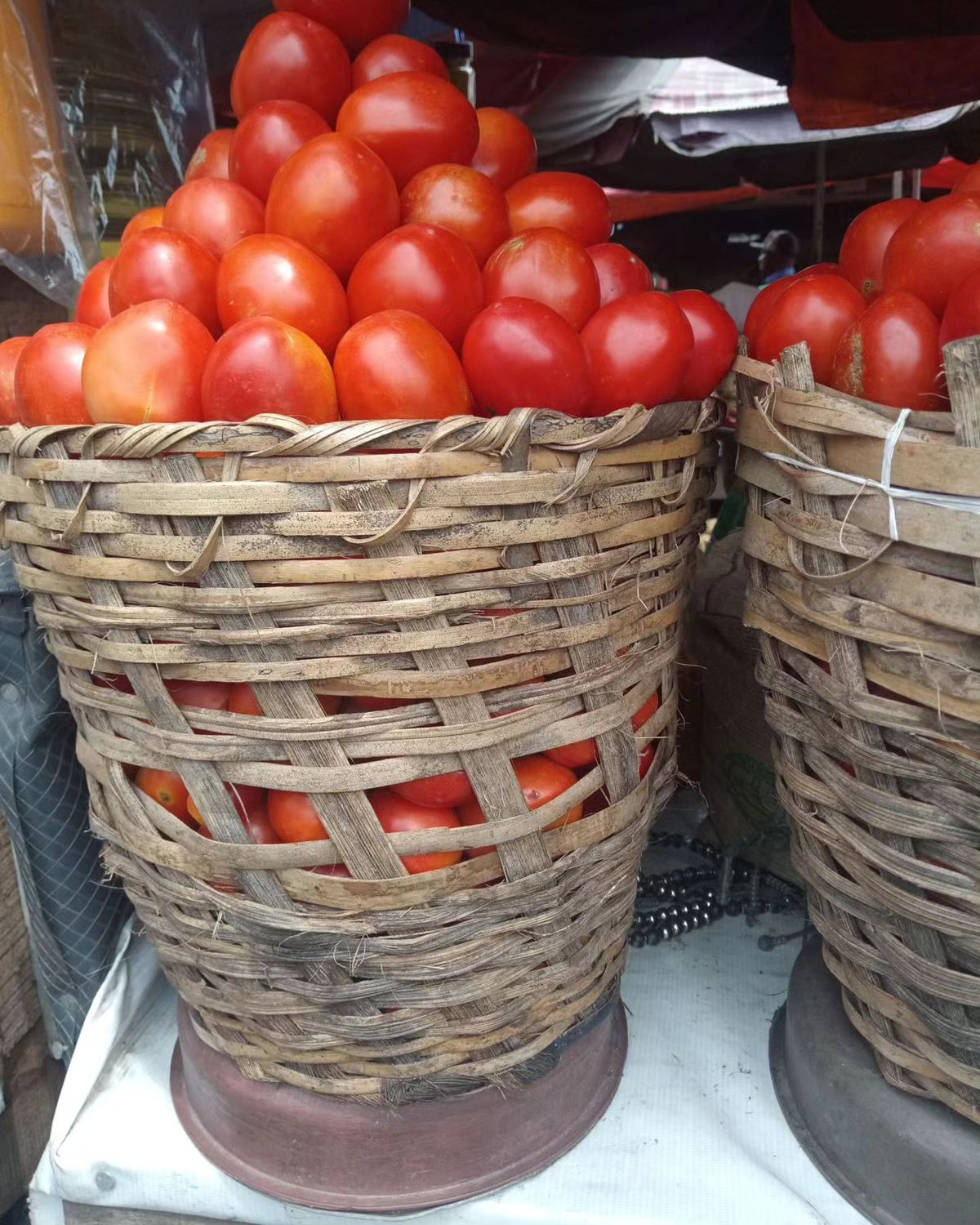 tomatoes 2